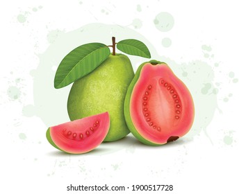 fresh green guava vector illustration with half piece of guava