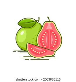 Fresh green guava vector illustration with guava half piece and slices