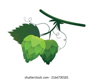 Fresh Green Hop Plant Isolated Icon