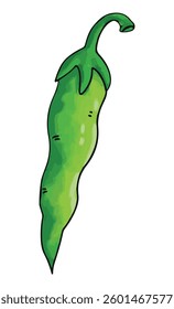 Fresh green jalapeno vector illustration