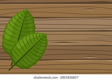 Fresh Green Kratom Leaf (Mitragyna Speciosa) Isolated On Wood Background. Icon Vector Illustration.