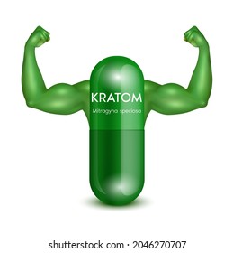 Cápsula verde verde de hoja de Kratom (Mitragyna speciosa) con brazos que muestran músculos fuertes potente. Producto alternativo herbal, narcóticos, analgésicos. Concepto médico. Vector 3D realista.