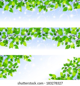 Fresh green leaf background