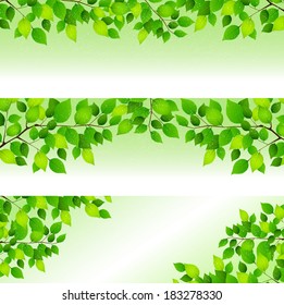 Fresh green leaf background