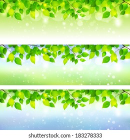 Fresh green leaf background
