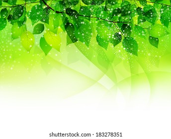 Fresh green leaf background