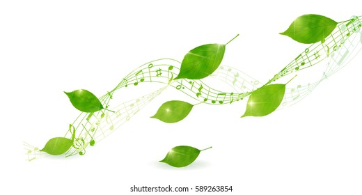 Fresh green leaf green background