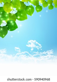 Fresh green leaf green background