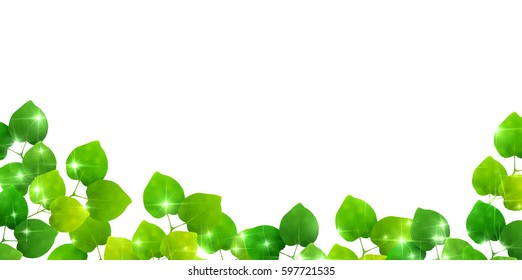 Fresh green leaf green background