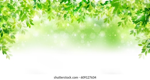 Fresh green leaf green background