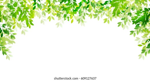 Fresh green leaf green background