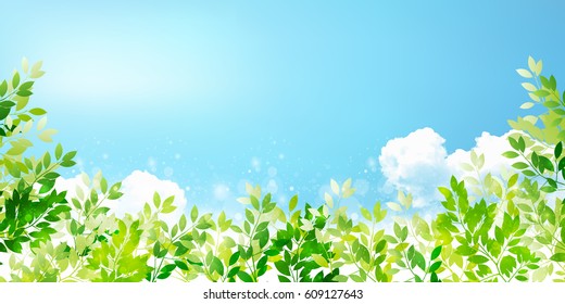 Fresh green leaf green background