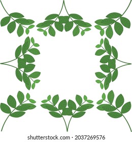 Fresh green leaf background. Green leaves.