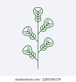 fresh green leaf design vector