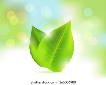 Fresh and Green Leaf. Ecology concept.