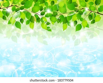 Fresh green leaf landscape