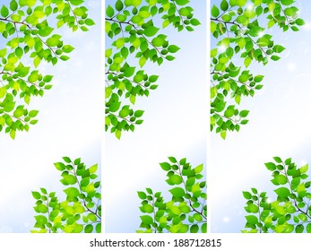 Fresh green leaf landscape