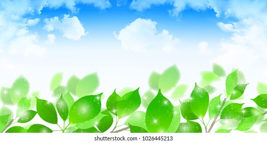 Fresh green Leaf landscape background
