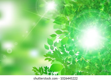 Fresh green Leaf landscape background