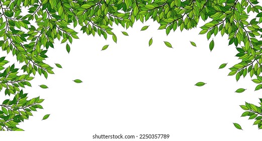 Fresh green leaf landscape background