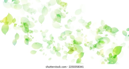 Frisch grüner Blatthintergrund