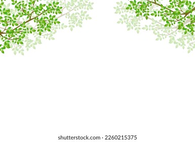 Fresh green leaf landscape background
