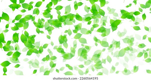 Fresh green leaf landscape background