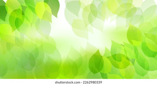 Fresh green leaf landscape background