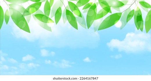 Fresh green leaf landscape background