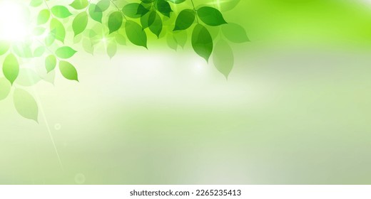 Fresh green leaf landscape background
