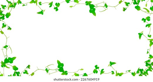 Fondo natural de paisaje de hojas verdes