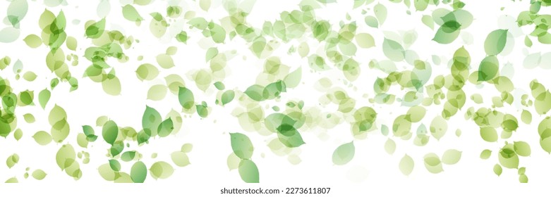 Fresh green leaf landscape background