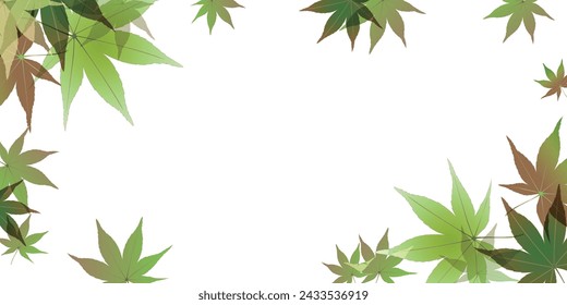 fresh green leaf maple background