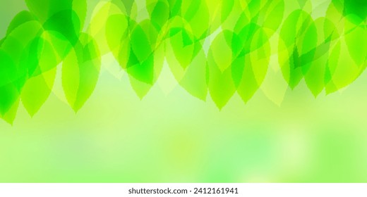 fresh green leaf nature background