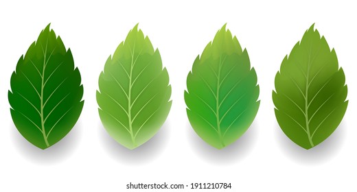 Fresh green leaf spring icon