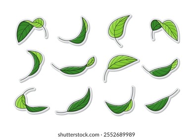 fresh green leaf sticker vector