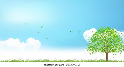 Fresh green leaf tree background 