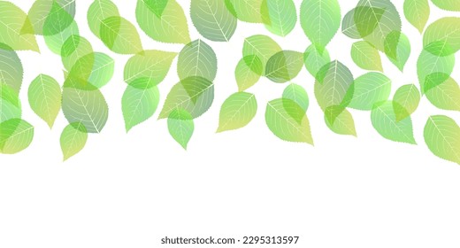 fresh green leaf tree background