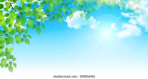 Fresh green leaf tree background
