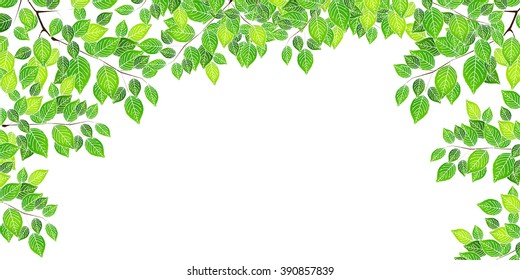 Fresh green leaf tree background