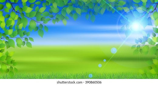 Fresh green leaf tree background