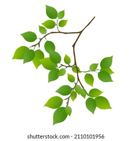 Icono de árbol de hoja verde fresco