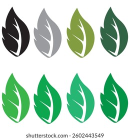 Fresh Green Leaf Vector Illustration