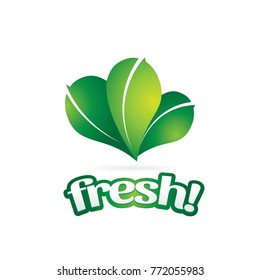 Fresh Green Leaf Vegetable Logo Symbol Icon