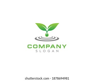 Fresh green leaf water drop logo design, water drop, green leaf vector logo design