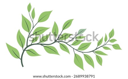 Fresh green leafy branch illustration isolated on white background for natural botanical decoration and eco friendly design projects