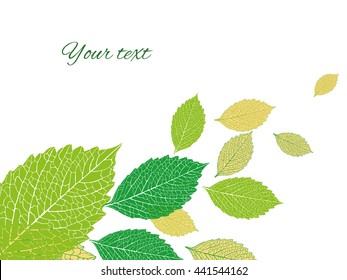 fresh green leaves