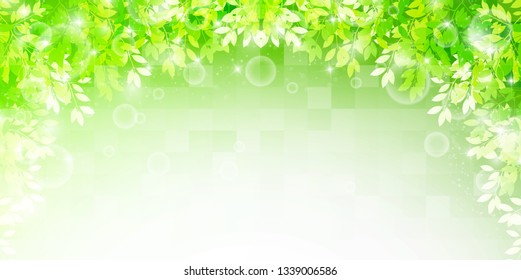 Fresh green leaves green background