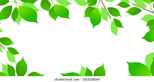 Fresh green leaves green background