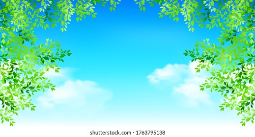 Fresh green leaves background background